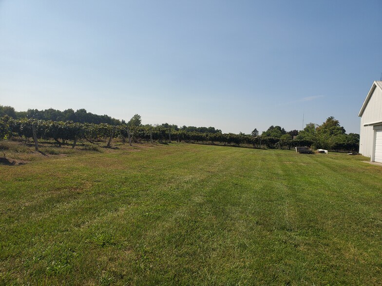 More Photos Of 38738 County Road 374, Paw Paw Land For Sale