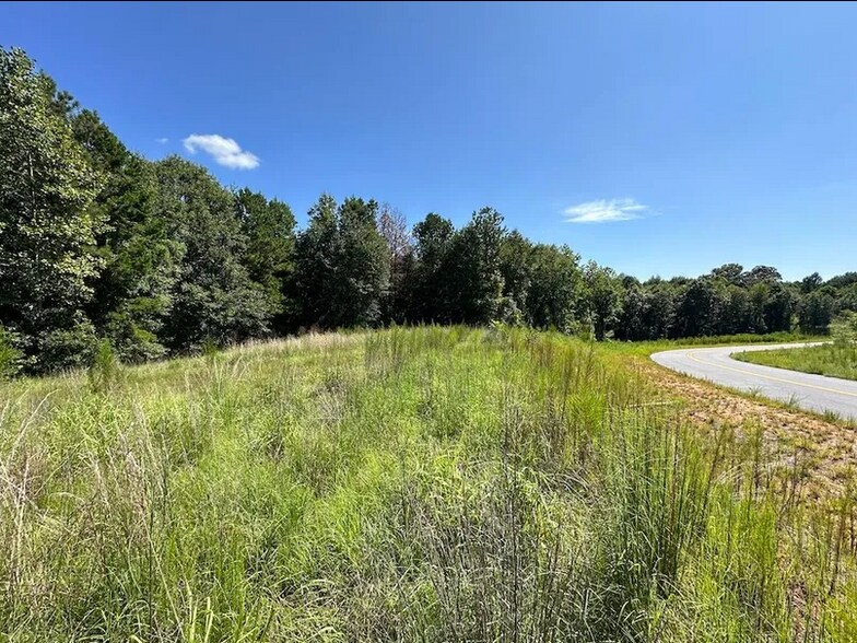 More Photos Of 1442 Bird Hammond Rd, Winder Land For Sale