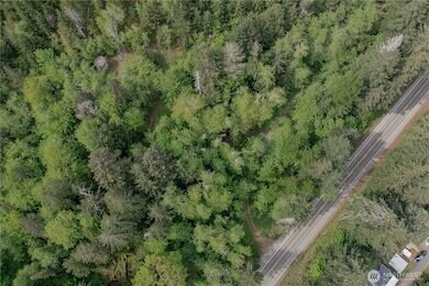 More Photos Of N US Hwy 101, Lilliwaup Land For Sale