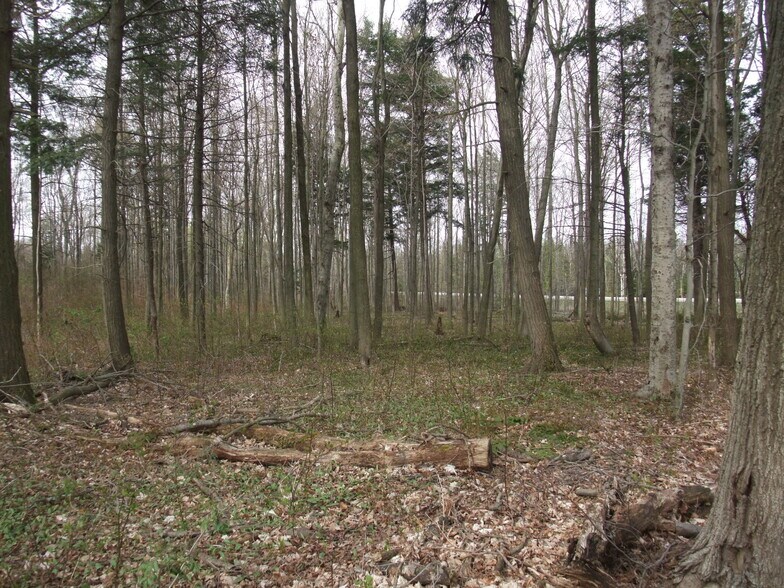 More Photos Of 8949 Wellington 22, Erin Land For Sale