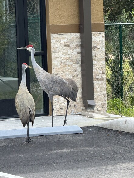 More Photos Of 1059 Duck Box, Umatilla Light Manufacturing For Lease