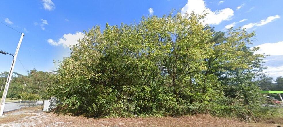 More Photos Of 5202 Greenhill Blvd NW, Fort Payne Land For Sale
