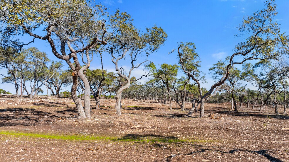 More Photos Of 16597 U.S. 281, Spring Branch Land For Sale