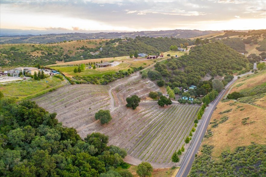 More Photos Of 1525 Peachy Canyon Rd, Paso Robles Winery Vineyard For Sale