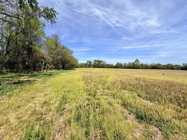 More Photos Of 4132 KY Highway 36 W, Cynthiana Land For Sale