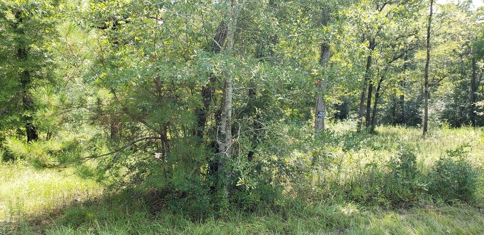 More Photos Of FM 1486, Magnolia Land For Sale