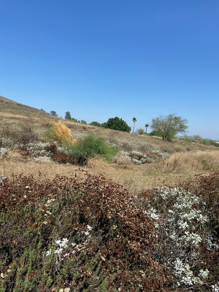 Primary Photo Of Collett Avenue and Pierce Street, Riverside Land For Sale