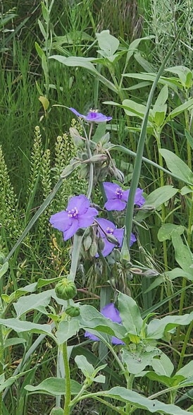 More Photos Of Empire Reservoir, Wiggins Land For Sale