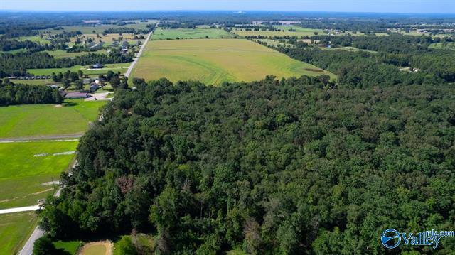 More Photos Of 17493 Seven Mile Post Rd, Athens Land For Sale