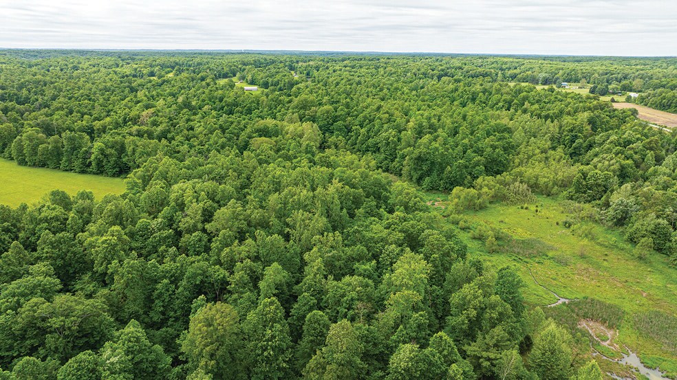 More Photos Of 2475 W County Road 1050 S, Cloverdale Land For Sale