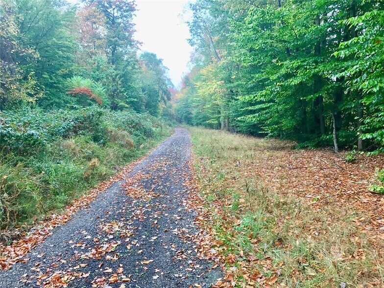 More Photos Of Bryant & SR 82 rd, Garrettsville Land For Sale