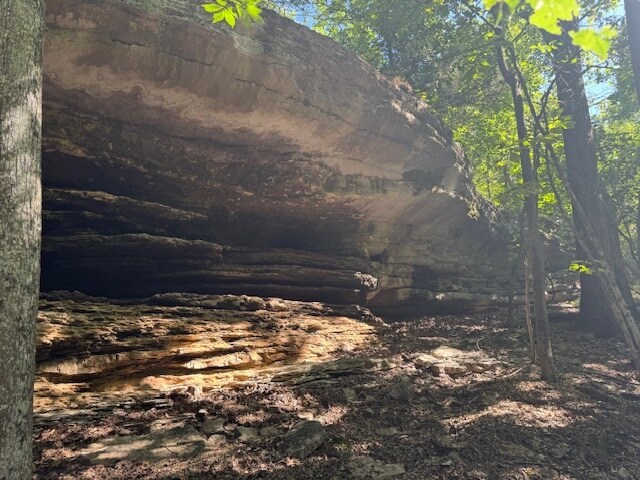 More Photos Of 190 Edgewater Dr, Eureka Springs Land For Sale