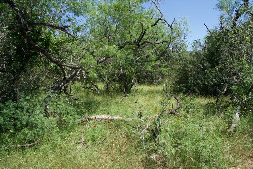 More Photos Of 00 Taylorsville Rd, Red Rock Land For Sale