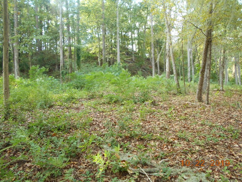 More Photos Of 282 Tuckasee King Rd, Clyo Land For Sale