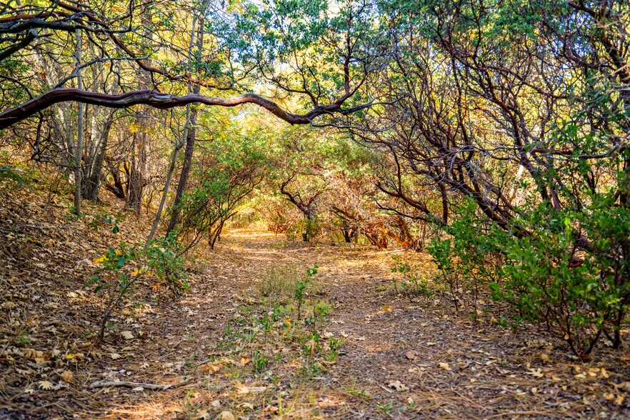 More Photos Of 2810 Three Peaks Ln, Julian Land For Sale