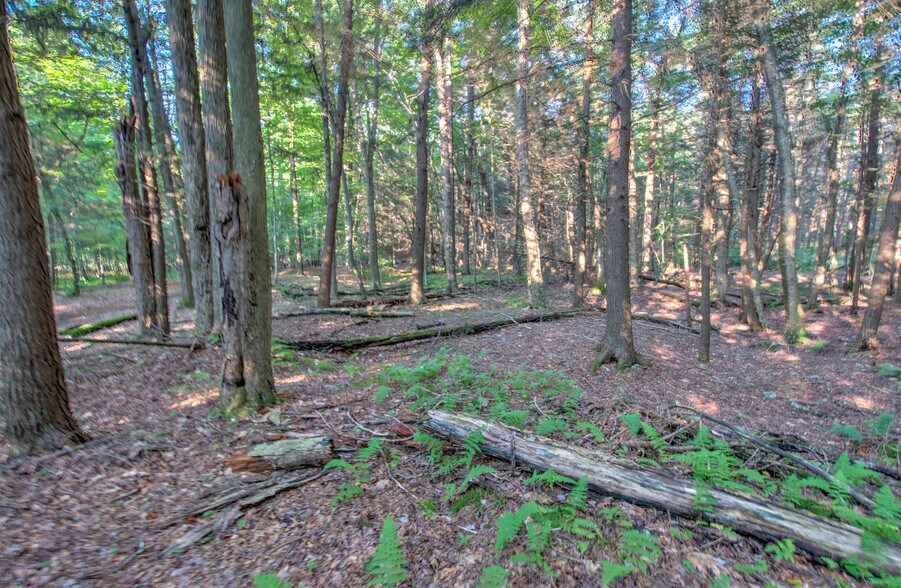 More Photos Of 167 Route 191, Cresco General Retail For Lease