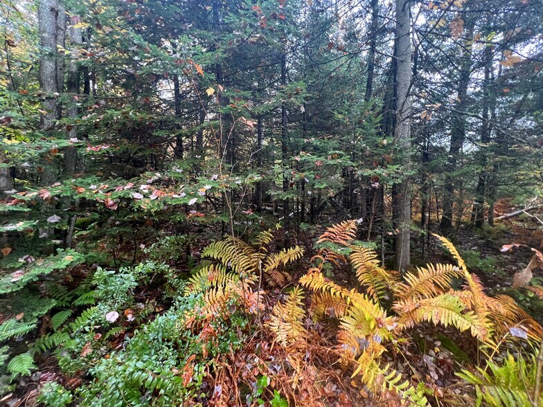 More Photos Of Rocks Edge Road, Bethlehem Land For Sale