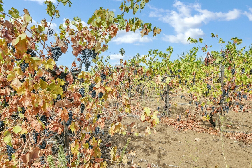 More Photos Of 310 Sandy Ln, Oakley Manufacturing For Sale