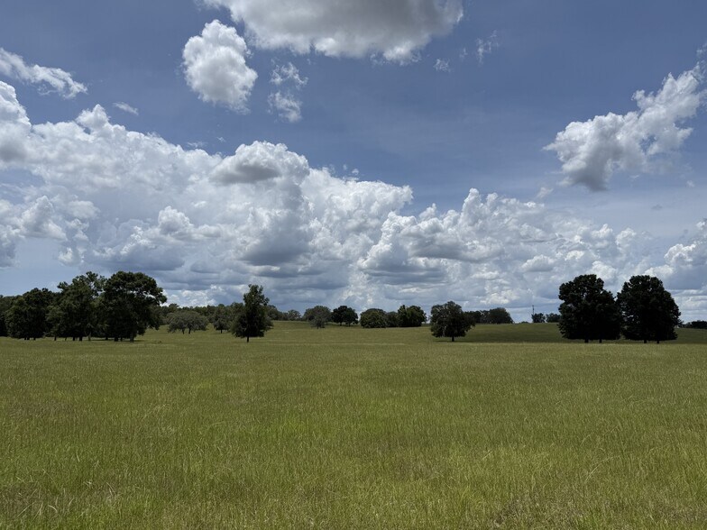 More Photos Of Highway 328 West, Dunnellon Land For Sale
