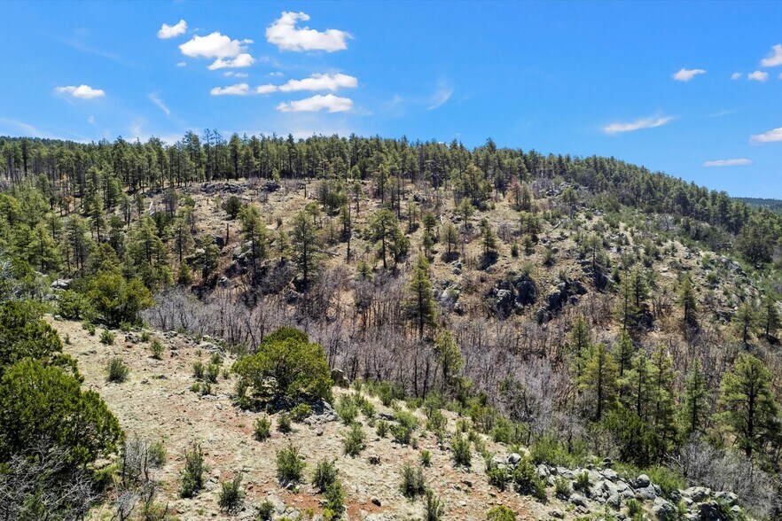 More Photos Of 00 Ponderosa Dr, Flagstaff Land For Sale