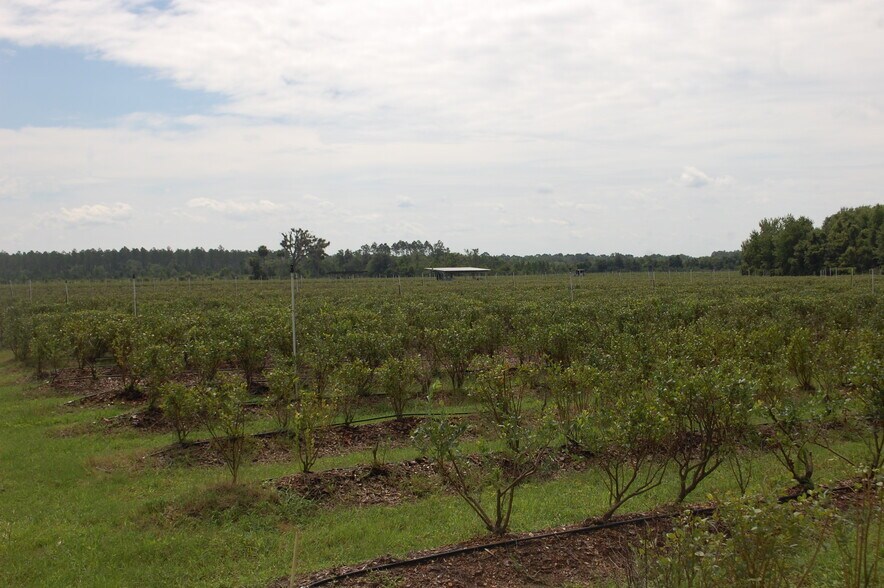 More Photos Of 18811 SE 243rd St, Hawthorne Specialty For Sale