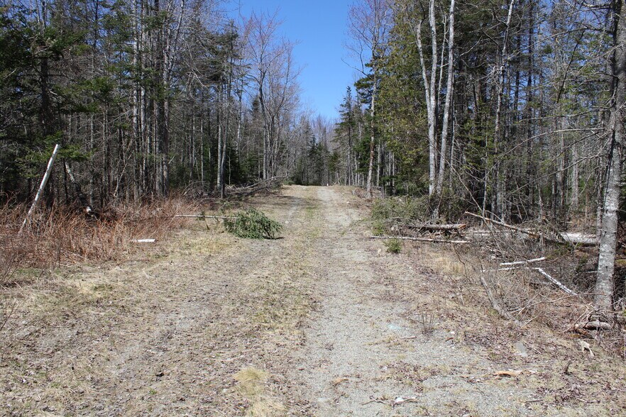 More Photos Of Route 182 Franklin Rd, Hancock Land For Sale