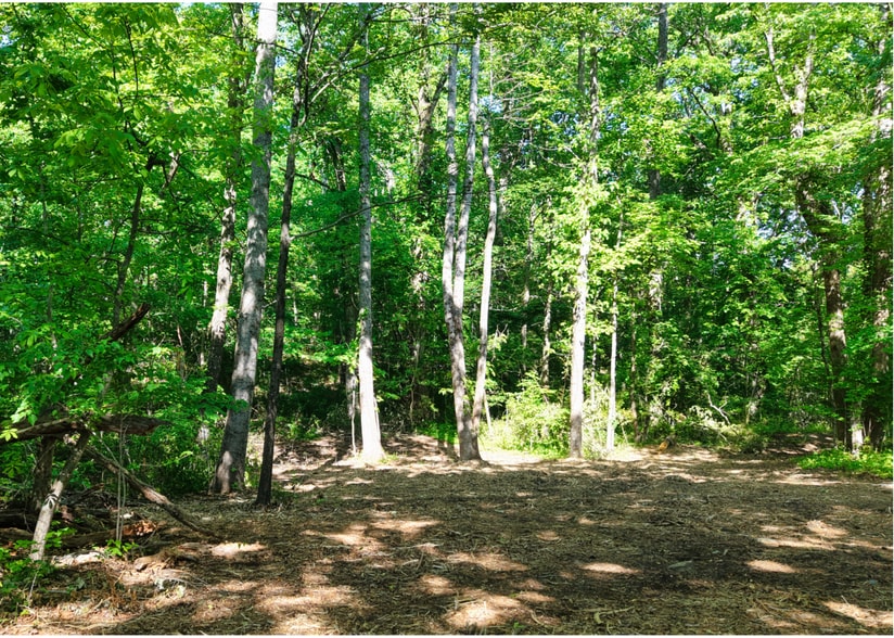 More Photos Of 1622 Monteagle Falls Rd, Monteagle Land For Sale