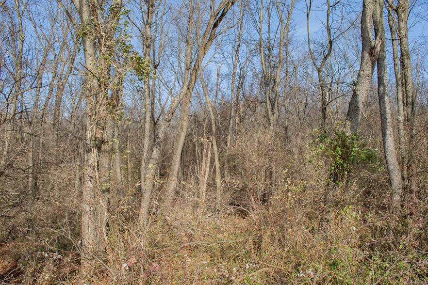 More Photos Of Remainder T.M Opequon Connector rd, Kearneysville Land For Sale