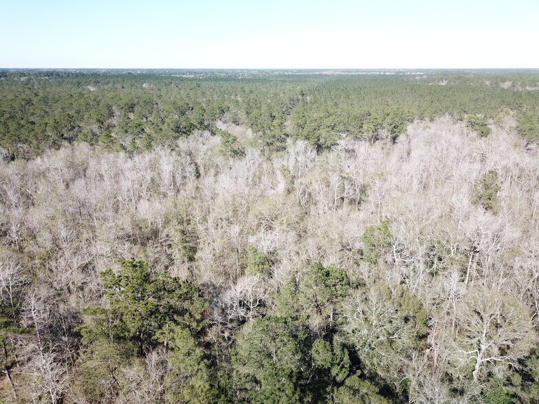 More Photos Of Corrigan Road, Vidor Land For Sale