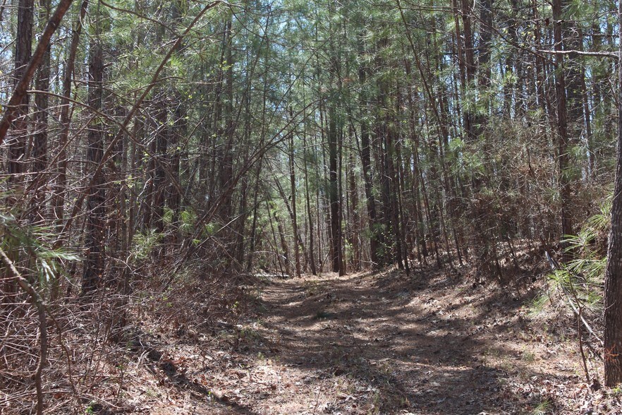 Cedar Grove Rd, Fairburn, GA 30213 Land For Sale