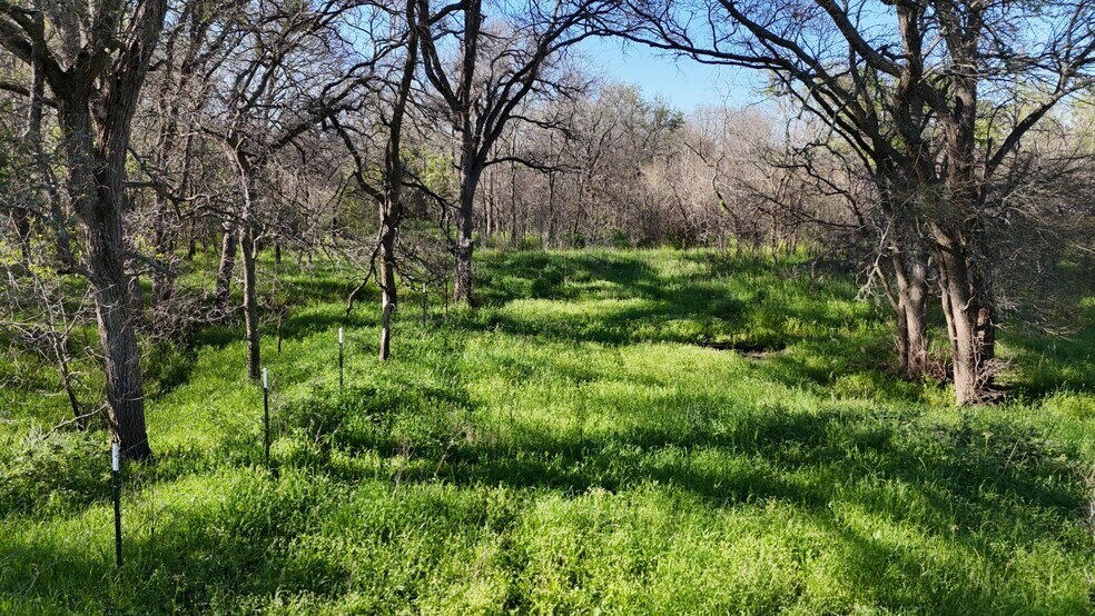 More Photos Of 1127 Lcr 607, Groesbeck Land For Sale