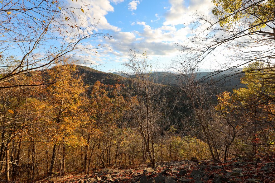 More Photos Of TBD NY-28, Phoenicia Land For Sale