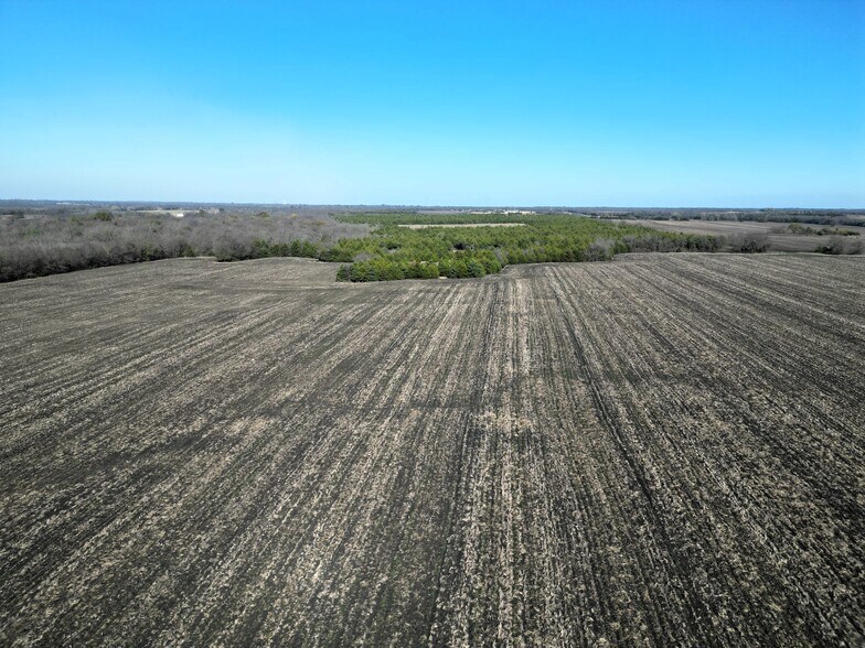 More Photos Of 99 ac County Road 4914, Ladonia Land For Sale