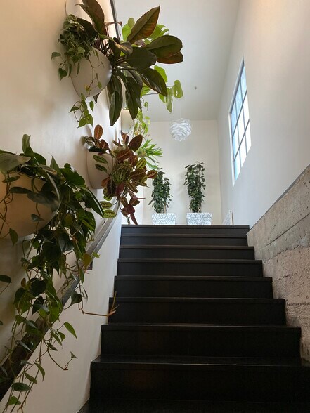 More Photos Of 1516 Folsom St, San Francisco Loft Creative Space For Lease