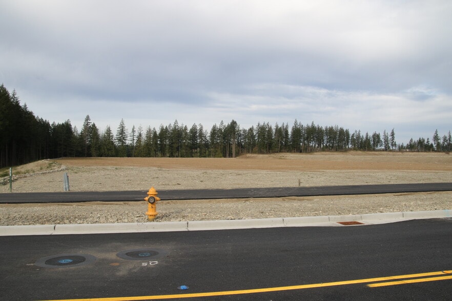 More Photos Of , Bonney Lake Land For Sale