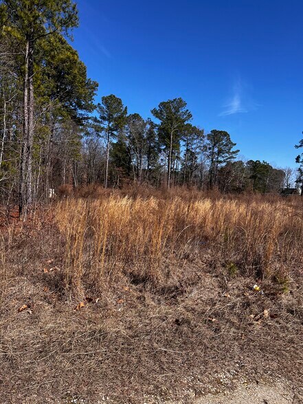 More Photos Of 1284 NC 50, Benson Land For Sale