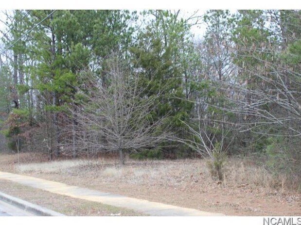 Primary Photo Of 00 Graham Street, Cullman Land For Sale