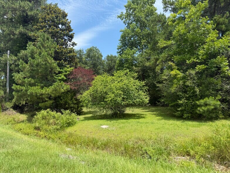 More Photos Of 5238 US Highway 264 W, Washington Land For Sale