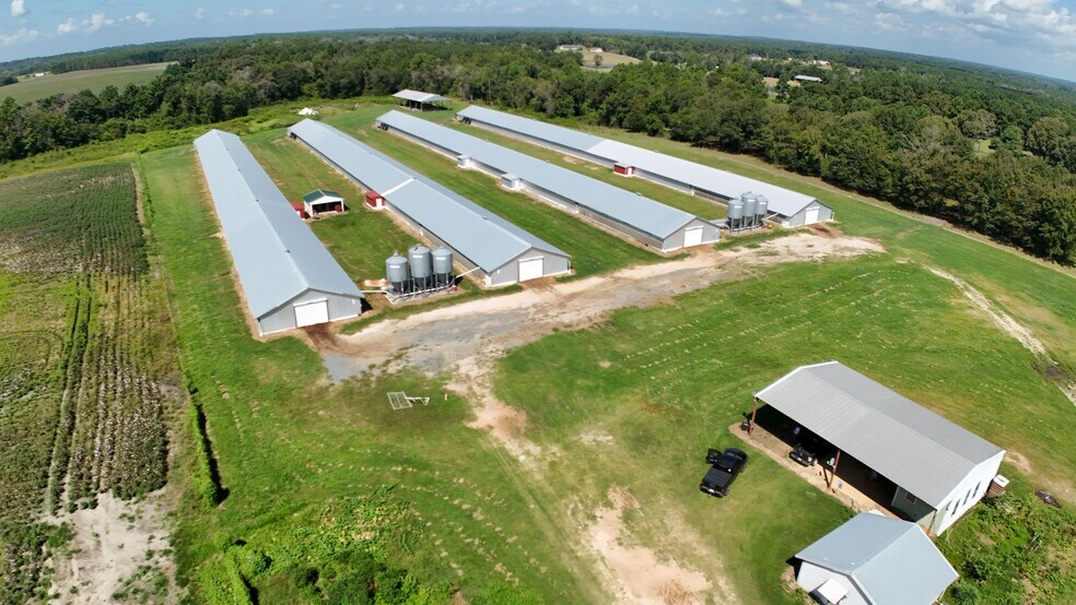 More Photos Of 594 Daffodil Ln, Pitts Land For Sale