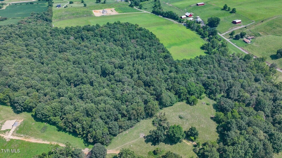 More Photos Of 170 McCall Rd, Limestone Land For Sale