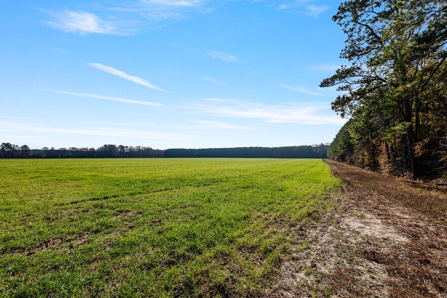 More Photos Of 10131 Ramsey st, Linden Land For Sale