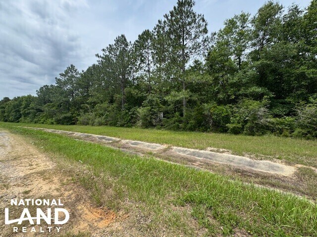 More Photos Of 0 Dead Lake Rd., Creola Land For Sale