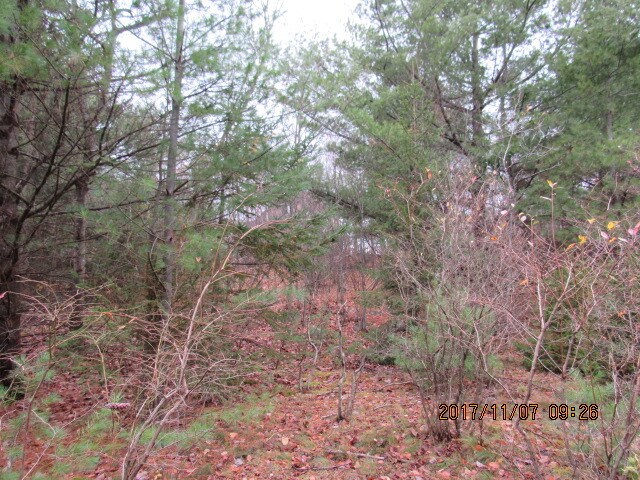 More Photos Of 86 Jefferson St, Monticello Land For Sale