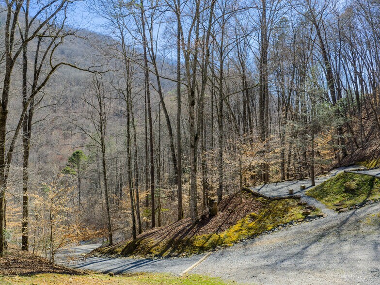 More Photos Of 95 Upstream Campus Trl, Sylva Schools For Sale