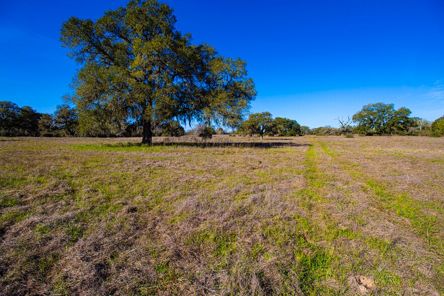 More Photos Of 1984 Highway 71, Columbus Land For Sale