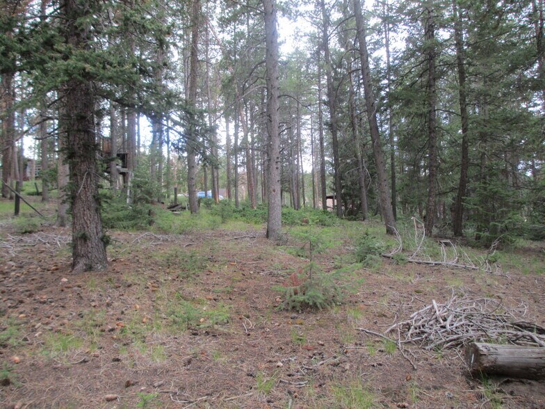 More Photos Of 26764 R Ln, Conifer Land For Sale