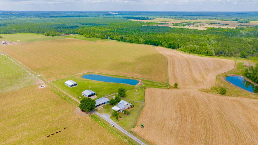 More Photos Of 24795A Hwy 32, Elberta Land For Sale
