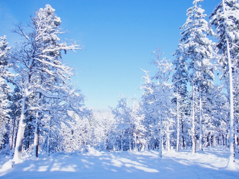 More Photos Of 94 Big Springs Rd, Goldendale Land For Sale