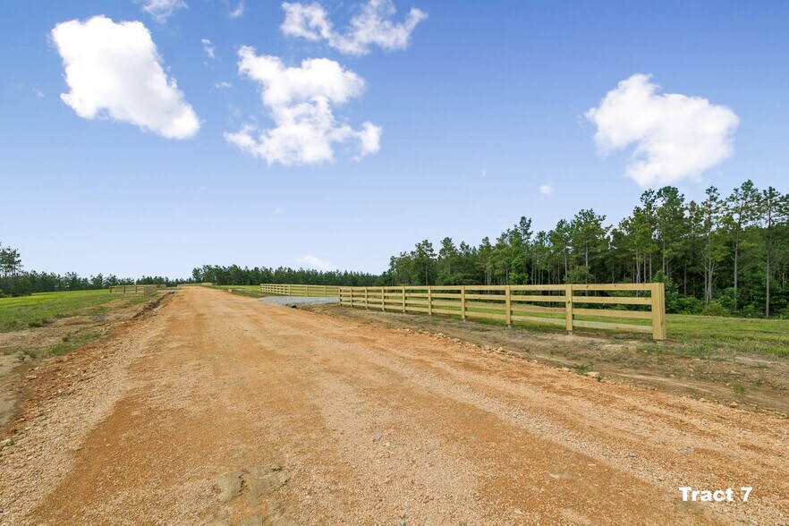 More Photos Of 1420 Big Swan Creek Rd, Summertown Land For Sale