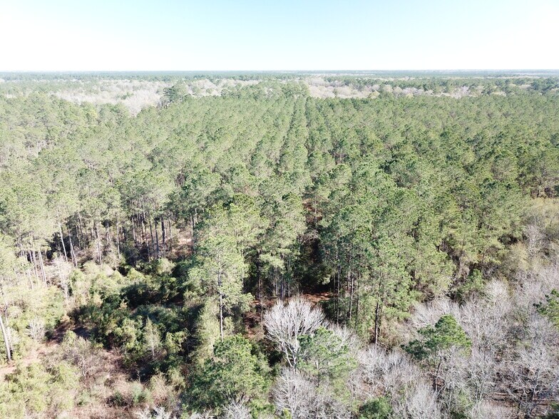 More Photos Of Corrigan Road, Vidor Land For Sale